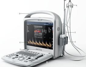 قیمت خوب دیجیتال سیستم سونوگرافی داپلر پرتابل رنگی قابل حمل با استفاده از نرم افزار 3D / 4D آنلاین